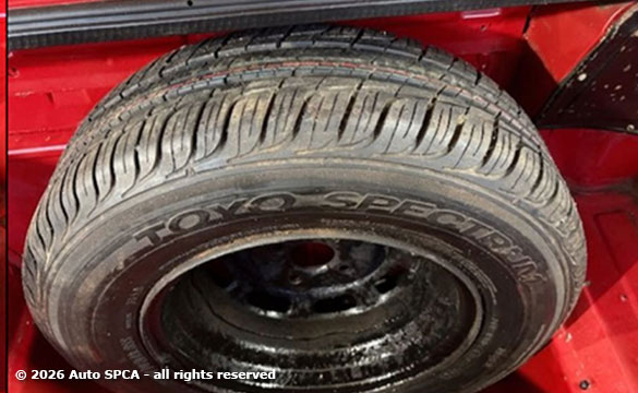 1981 Triumph TR7 Convertible Photograph