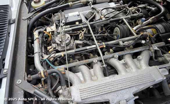 1988 Jaguar XJSC Photograph